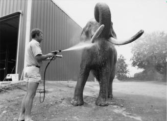 Lance the elephant and trainer Mike Hackenbergerg, Bowmanville Zoo, Bowmanville, Ontario