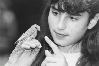 Elaine Berkovsky makes the acquaintance of a house finch at the North York Board of Education's art and nature camp at Boyd Conservation Area. Vaughan, Ontario