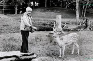 Charlie Patterson feeding a deer at Santa's Village. Bracebridge, Ontario