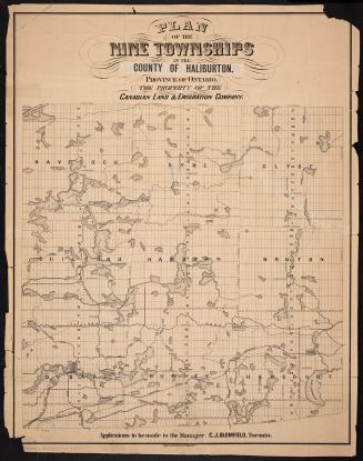 Plan of the nine townships in the county of Haliburton