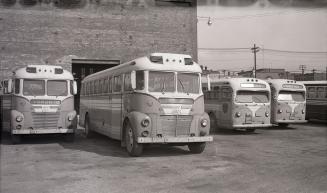 Gray Coach Lines, bus #823 (in centre), at T