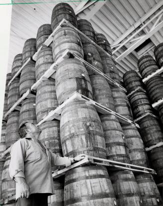 Worker at the Bacardi Rum plant looking over stacked barrels. Brampton, Ontario
