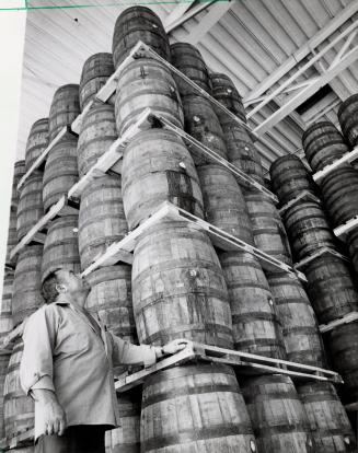 Worker at the Bacardi Rum plant looking over stacked barrels. Brampton, Ontario