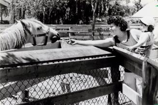 Linda Colucci and daughter Natalie feeding a horse in Chinguacousy Park. Brampton, Ontario