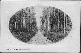 Black and white oval picture of a dirt road running through a forested area set inside a white  ...