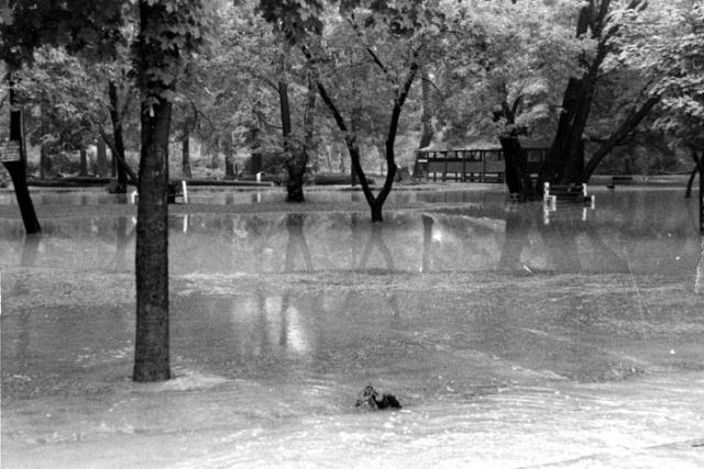 Storm damage caused by Hurricane Hazel