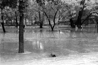 Storm damage caused by Hurricane Hazel