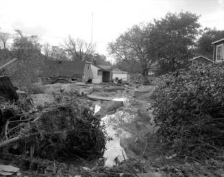 Environmental damage caused by Hurricane Hazel