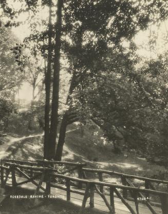 Image shows a narrow bridge over the ravine.
