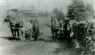 Historic photo from 1896 - Whalen family hauling wood on McGlashan Rd. - looking east past McGlashan house towards Yonge St. in Hoggs Hollow