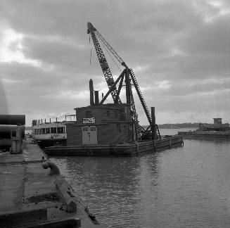 Image shows a crane on the lake by the Harbour.