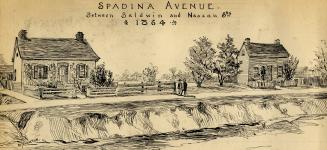 Spadina Avenue, between Baldwin and Nassau Streets (Toronto), 1864
