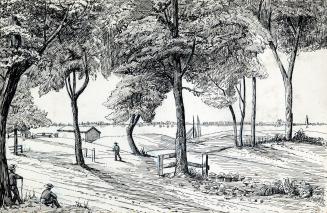 Image shows a few roads, some people walking around and a number of trees around.