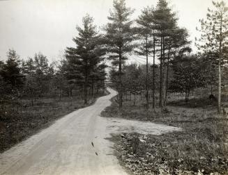 Baby Point Road, looking east from eastern end, Toronto, Ontario
