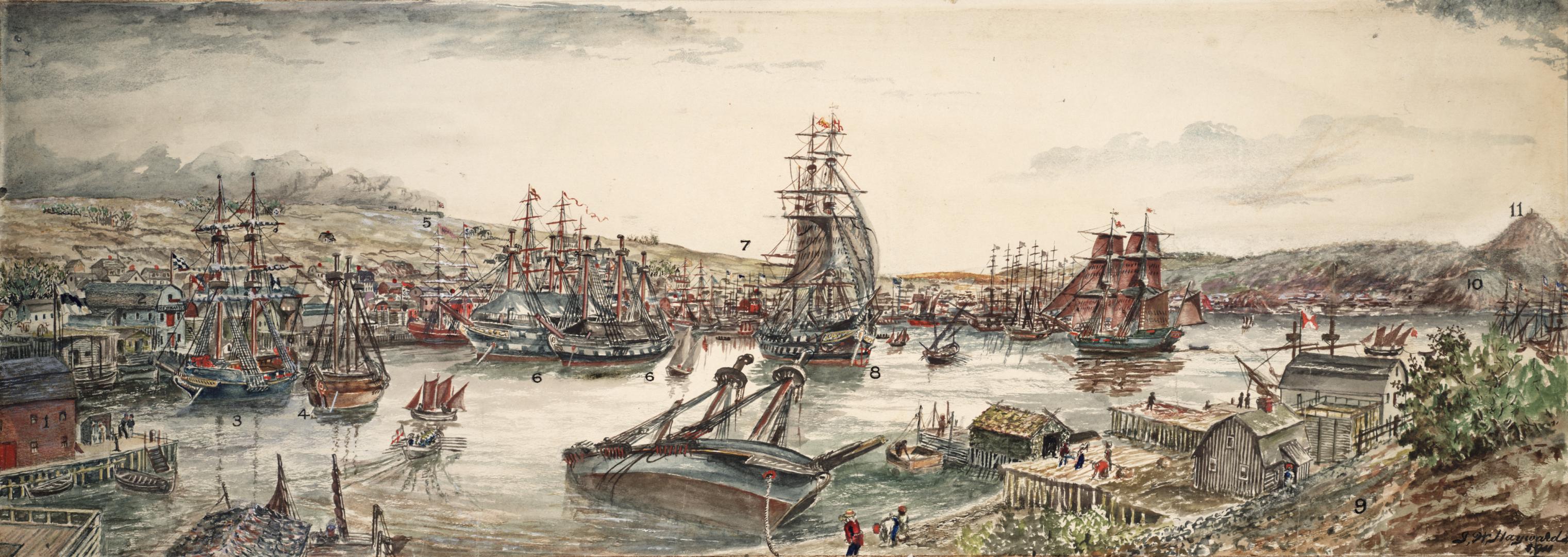 Town and Harbour of St. John's, Newfoundland, in 1811
