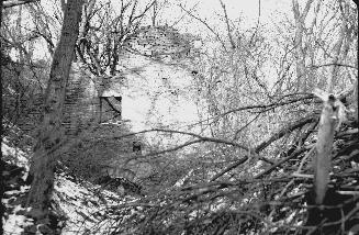 Millwood Mill, Humber River, west side (west of Humber Boulevard), below Woodhaven Heights, ruins, Toronto, Ontario