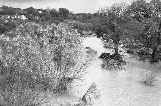 Humber River, looking north from Bloor St