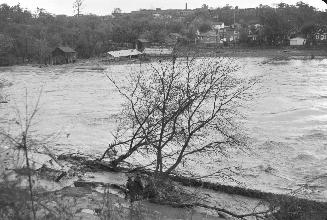 Humber River, looking northeast, just south of Old Dundas St