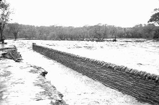 Humber River, looking southeast, just south of Old Dundas St