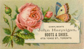 Illustration of pink roses, one in full bloom and the others closed up, and a very colourful bu ...