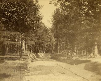 Historic photo from 1870 - Gate leading to The Dale - Dale Ave., s. side, w. of McKenzie Ave.;  n. of Bloor St. E., w. of Castle Frank Rd. in Rosedale