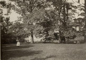 Image shows some lawn space and a number of trees around.