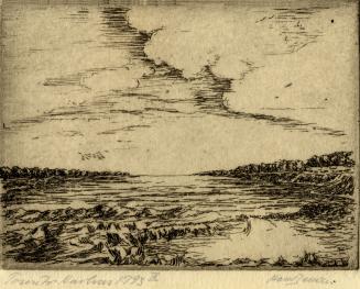 Image shows a lake view and the shore with no houses.
