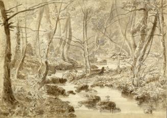 Painting shows a ravine in the woods.