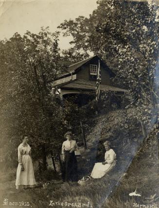 Historic photo from Sunday, October 10, 1915 - Cottage and orchard at Herne Hill - Mr Lefroy (in tree) the tenant of the cottage in Swansea