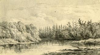 The Severn River (Gravenhurst, Ontario)