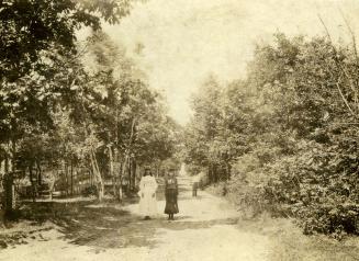 Historic photo from 1885 - Beech Ave. - out for a walk amongst the trees in The Beaches