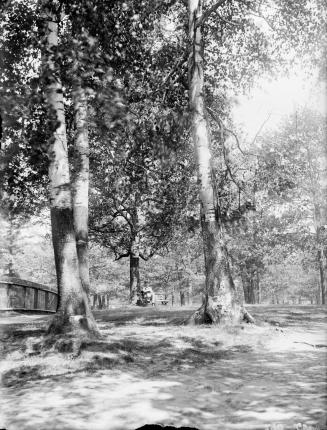 Historic photo from Monday, July 7, 1890 - The Birches - just  west of the Parliament Buildings looking north - Chas. Carpmael of the Observatory sitting in Queens Park