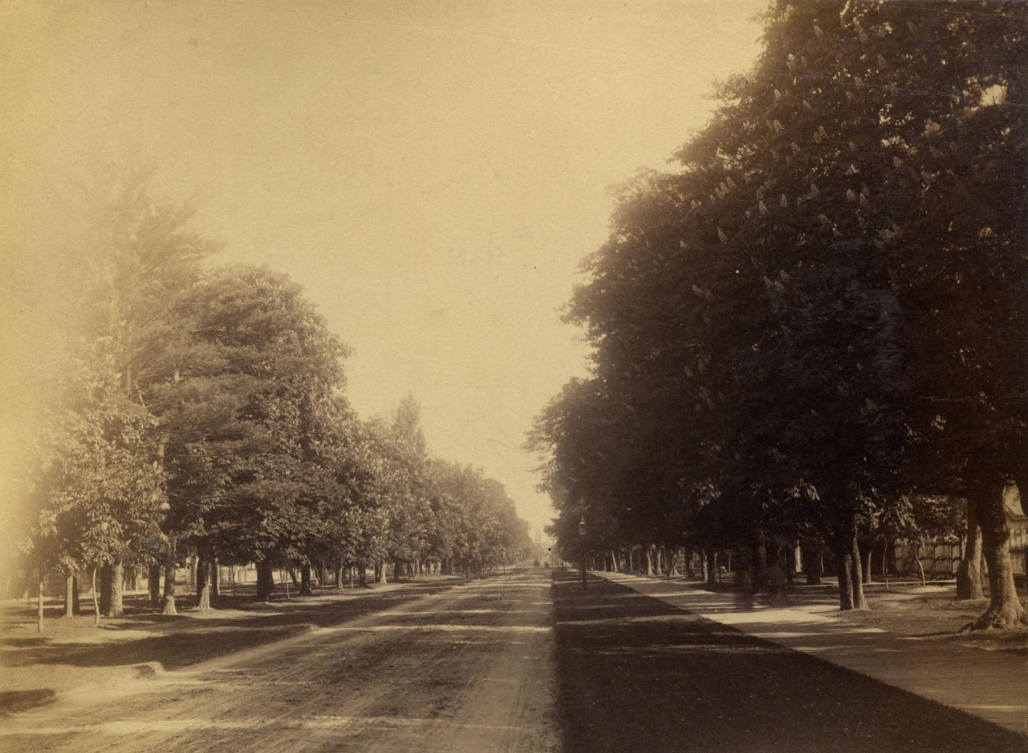 University Avenue, looking south from College St