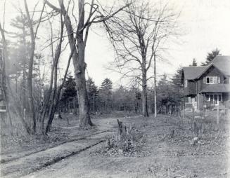 Image shows a street leading towards the house. There are a lot of trees around it.