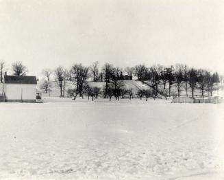 Image shows ground covered with snow. There are some trees and a few buildings in the backgroun ...