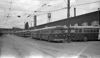 Image shows a few parked trolley buses.