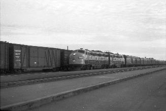 Image shows a few trains on the tracks.