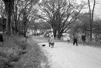 Humber River, looking west to Old Albion Road bridge over Humber River