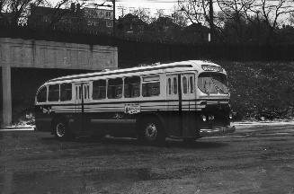 Image shows a TTC bus on the road.