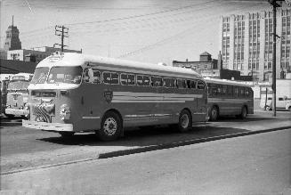 Gray Coach Lines, bus #618, at Gray Coach Lines lot, Elizabeth St