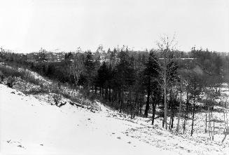 Image shows a park view in winter.