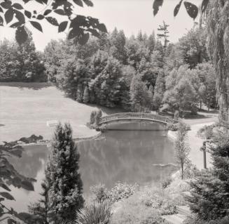 Historic photo from Sunday, July 3, 1955 - A bridge in Edwards Gardens, Originally Rupert Edwards Springbrook Farm in Edward Gardens
