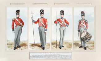 Uniforms of the 8th (King's) Regiment of Foot ca 1812-1815