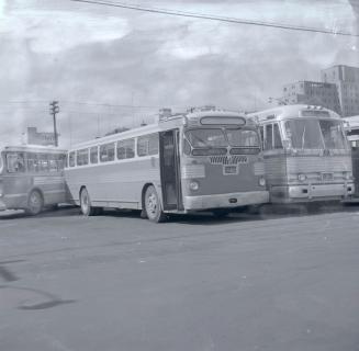 Gray Coach Lines, bus #629, at Gray Coach Lines lot, Elizabeth St