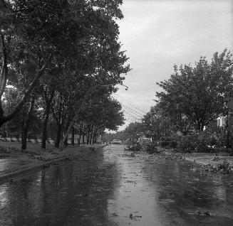 Hanna Road, looking north to Sharron Drive, showing aftermath of gale