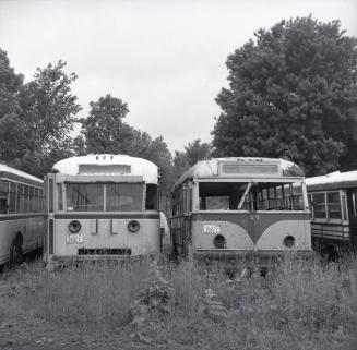 Gray Coach Lines, bus #649 (on left) & Danforth Bus Lines #27 (on right) at Elliott Auto Parts, Newtonville, Ontario