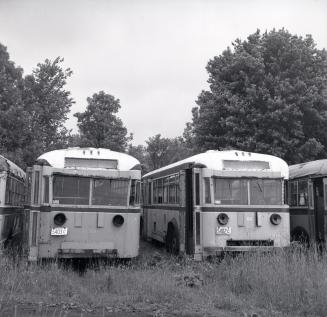Gray Coach Lines, bus #650 (on left) & #649 (on right) at Elliott Auto Parts, Newtonville, Ontario