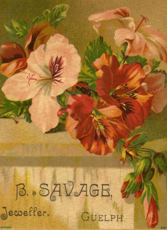 Illustration of pink and red flowers with green leaves. Some flowers are closed and others in f ...