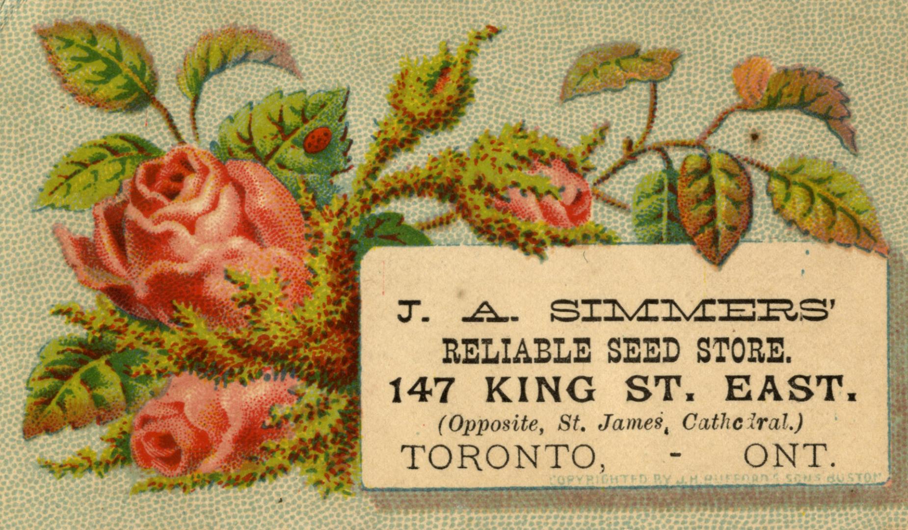 Illustration of red roses; a lady bug is pictured on one of the leaves. 