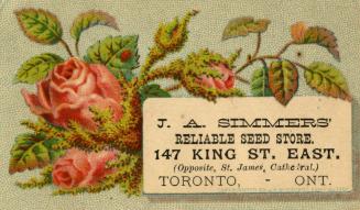 Illustration of red roses; a lady bug is pictured on one of the leaves. 